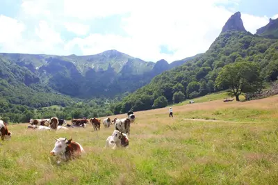 Paysage naturel près de la maison de vacances