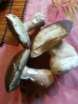 Nourriture dans le B&B/chambre d'hôtes ou à proximité