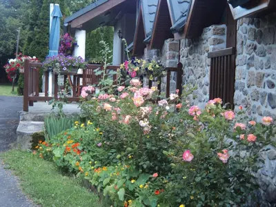 Jardin de l'établissement ferme de séjour verchalles