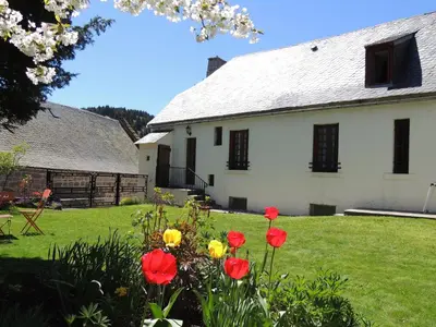 Jardin de l'établissement Hôtel Restaurant du Plomb du Cantal