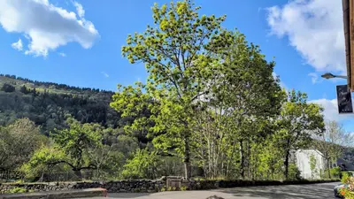 Paysage naturel près de l'hôtel