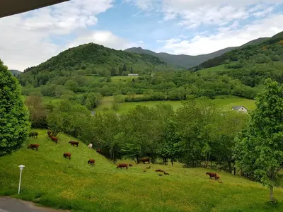 Paysage naturel près de l'hôtel
