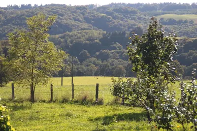 Paysage naturel près de l'appartement