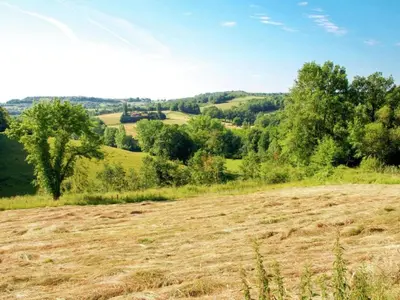 Paysage naturel près de la maison de vacances