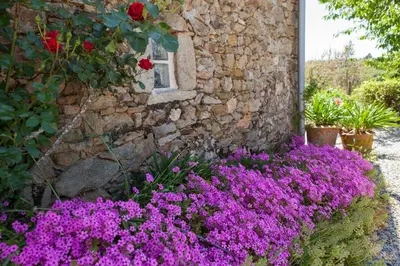 Jardin de l'établissement B&B Fleur de Lys Bleue
