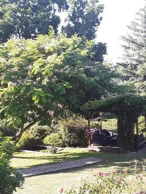 Jardin de l'établissement Hotel des Voyageurs