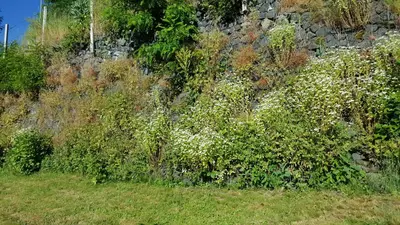 Jardin de l'établissement Relais des castors