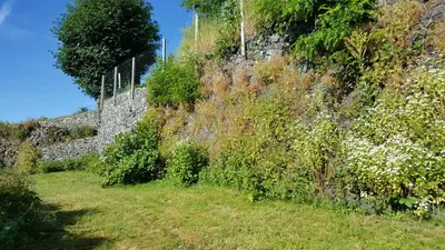 Jardin de l'établissement Relais des castors