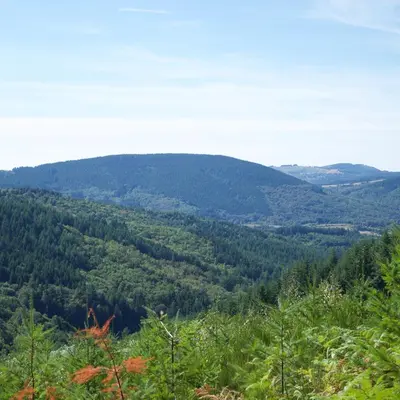 Paysage naturel près de l'hôtel
