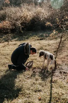 Animal ou animaux domestique(s) séjournant avec des clients dans l'établissement Cabane Rouge-Gorge