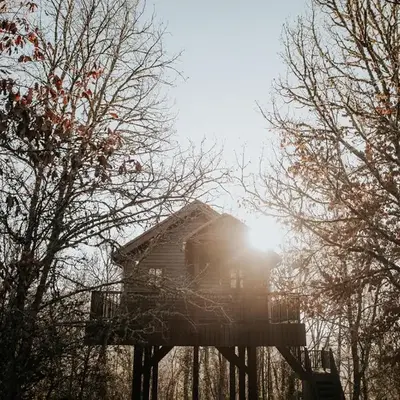 Cabane Rouge-Gorge