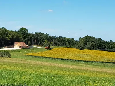 Paysage naturel près de le B&B/chambre d'hôtes