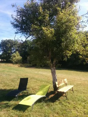 Jardin de l'établissement Les Gîtes de la Vallée de l'Elle