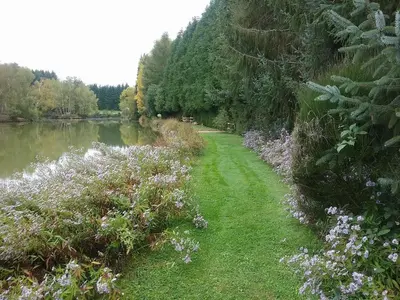 Paysage naturel près de le B&B/chambre d'hôtes