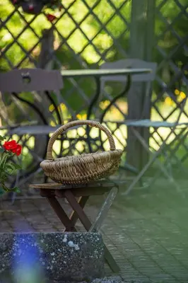 Jardin de l'établissement La Maison des étoiles