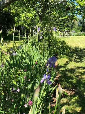 Jardin de l'établissement La Fournio