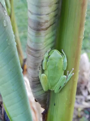 Plan de l'établissement La Roulotte en plein nature au Blagour