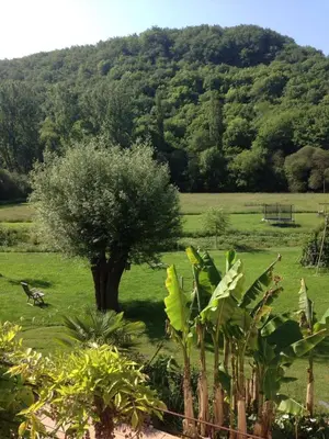 Paysage naturel près de la maison de vacances