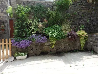 Jardin de l'établissement La Maison De Béatrice