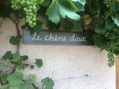 Jardin de l'établissement Le Chêne Doux