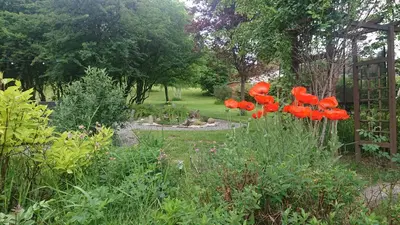 Jardin de l'établissement Le Relais des Capucines