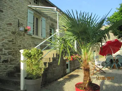 Jardin de l'établissement Pura Vida