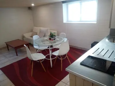 Cuisine ou kitchenette dans l'établissement Studio Vic