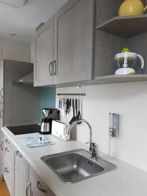 Cuisine ou kitchenette dans l'établissement Appartement Cap Horn