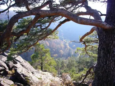 Paysage naturel près de la maison de vacances