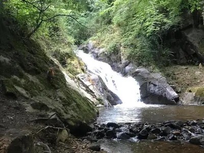 Paysage naturel près de la maison de vacances