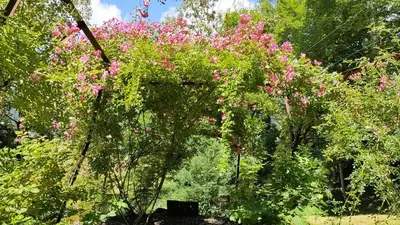Jardin de l'établissement Chateau Ol Puech