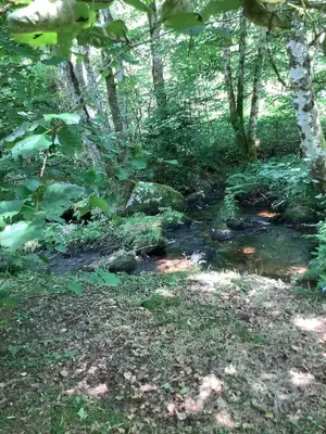 Paysage naturel près de l'appartement