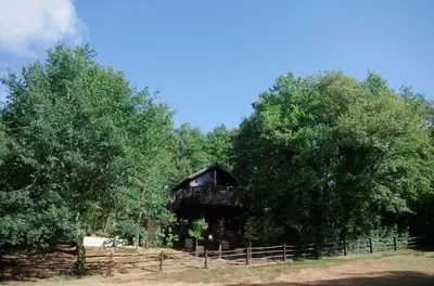 Plan de l'établissement Cabane de La Mésange