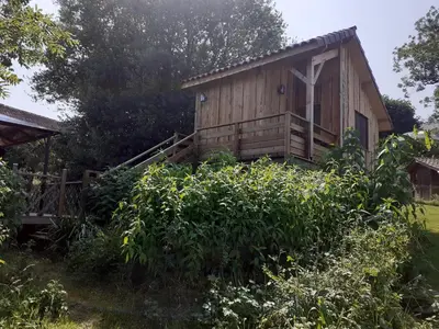 Jardin de l'établissement Les Mandarins