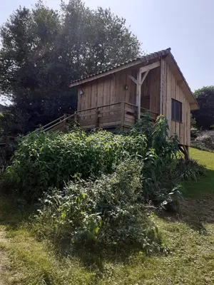 Jardin de l'établissement Les Mandarins