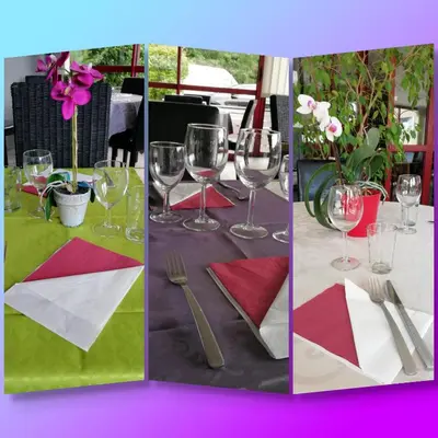 Restaurant ou autre lieu de restauration dans l'établissement Hôtel du Parc Limoges & Restaurant 