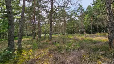 Paysage naturel près de la maison de vacances