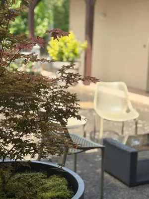 Jardin de l'établissement Le Victor Hugo - Hôtel et Restaurant - Logis Hôtels