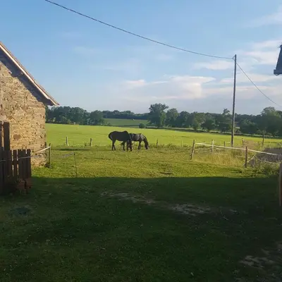 Animaux dans l'appartement ou à proximité