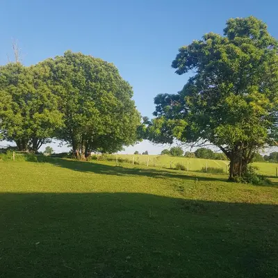 Paysage naturel près de l'appartement