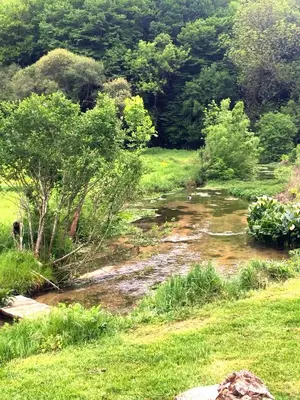 Paysage naturel près de le B&B/chambre d'hôtes