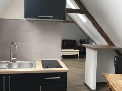 Cuisine ou kitchenette dans l'établissement Appartement L'Arédien