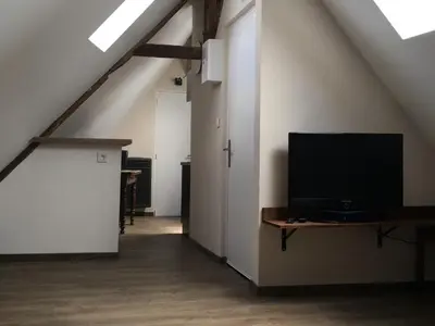 Télévision ou salle de divertissement dans l'établissement Appartement L'Arédien