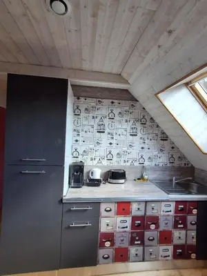 Cuisine ou kitchenette dans l'établissement Les Roses Des Bois