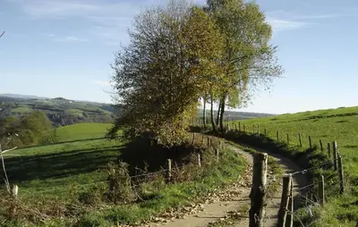 Plan de l'établissement Domaine La Chataigneraie