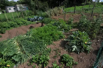 Jardin de l'établissement Auberge De La Providence