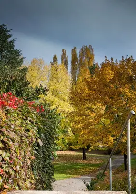 Jardin de l'établissement Les Trois Soleils