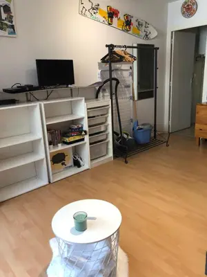 Cuisine ou kitchenette dans l'établissement Appartement Super Besse
