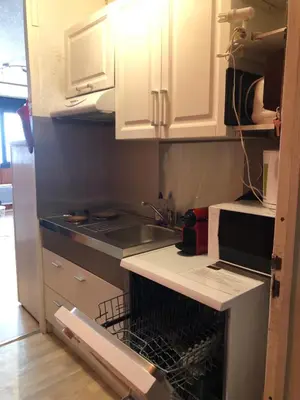 Cuisine ou kitchenette dans l'établissement Appartement Super Besse