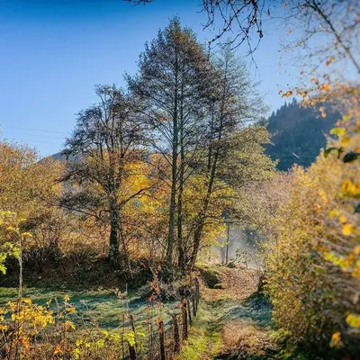 Paysage naturel près de le B&B/chambre d'hôtes